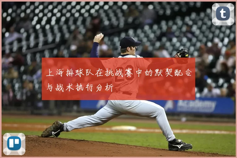上海排球队在挑战赛中的默契配合与战术执行分析