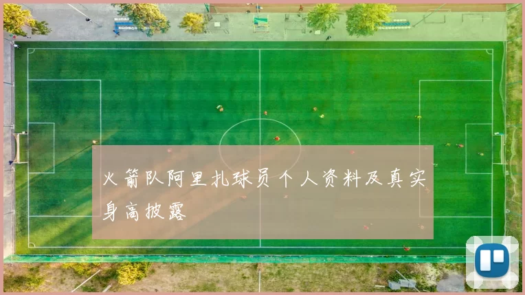 火箭队阿里扎球员个人资料及真实身高披露