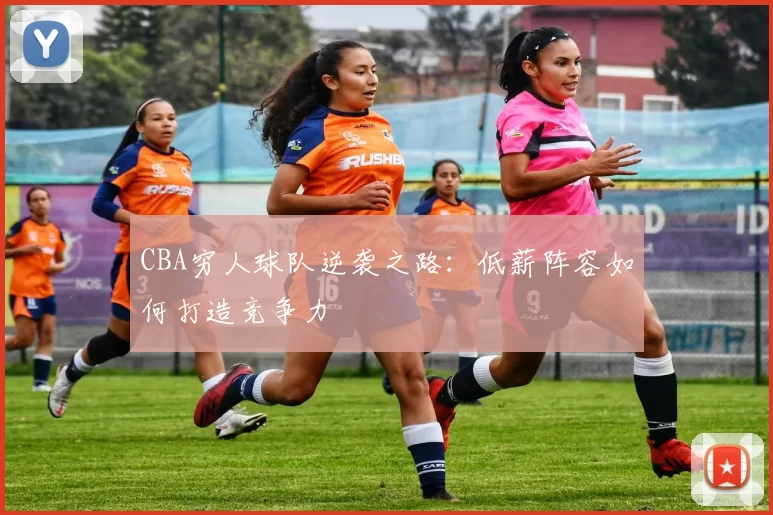CBA穷人球队逆袭之路：低薪阵容如何打造竞争力