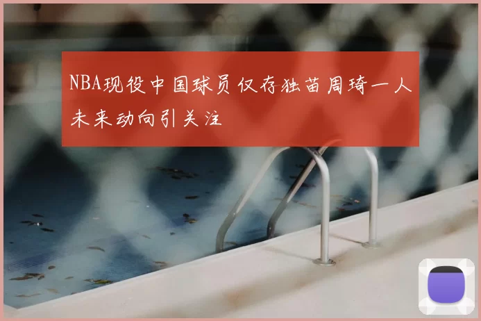 NBA现役中国球员仅存独苗周琦一人未来动向引关注
