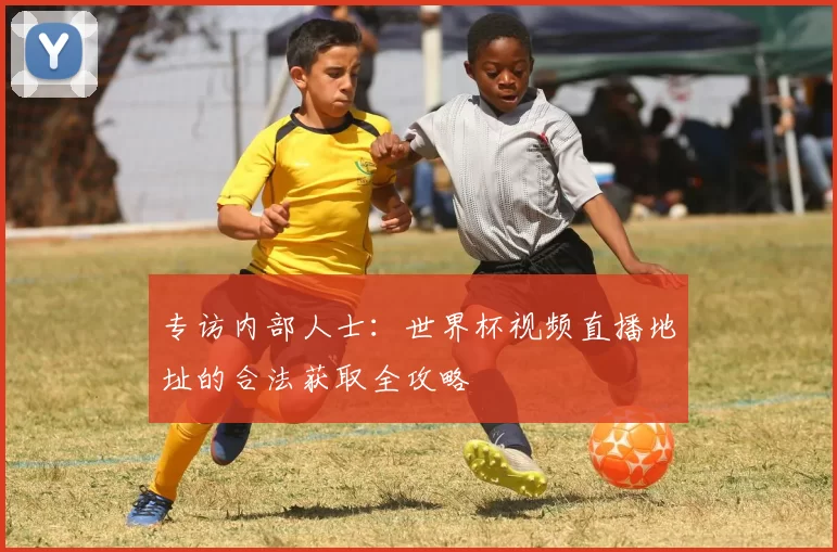 专访内部人士:世界杯视频直播地址的合法获取全攻略