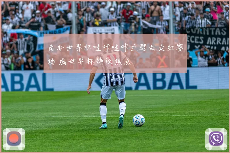 南非世界杯哇咔哇咔主题曲走红赛场 成世界杯热议焦点