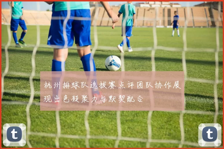杭州排球队选拔赛点评团队协作展现出色凝聚力与默契配合