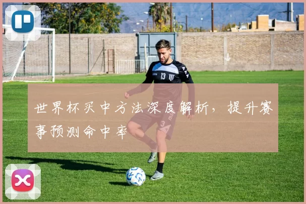 世界杯买中方法深度解析，提升赛事预测命中率