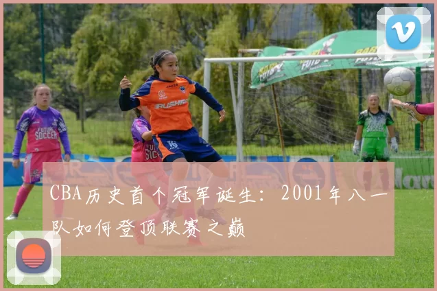 CBA历史首个冠军诞生：2001年八一队如何登顶联赛之巅