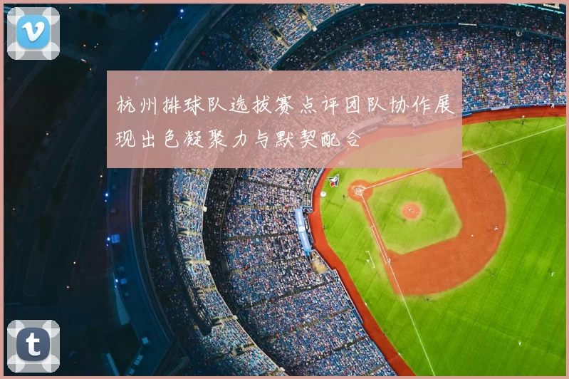 杭州排球队选拔赛点评团队协作展现出色凝聚力与默契配合