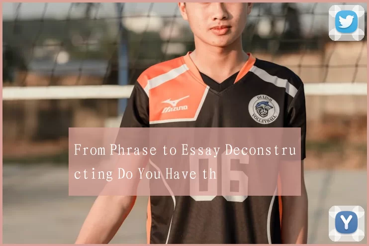From Phrase to Essay Deconstructing Do You Have th