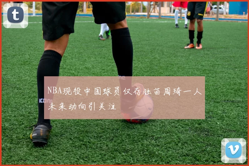 NBA现役中国球员仅存独苗周琦一人未来动向引关注