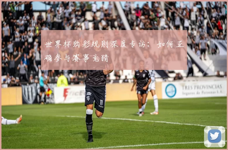 世界杯购彩规则深度专访:如何正确参与赛事竞猜