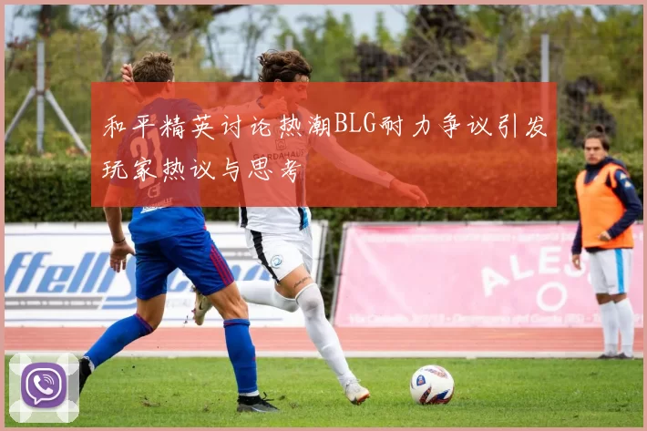 和平精英讨论热潮BLG耐力争议引发玩家热议与思考