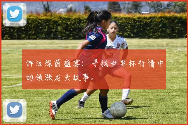 押注绿茵盛宴：寻找世界杯行情中的领涨龙头故事。