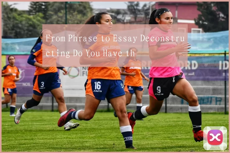 From Phrase to Essay Deconstructing Do You Have th