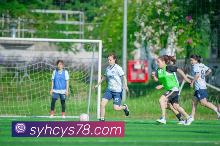 App Interface Preview